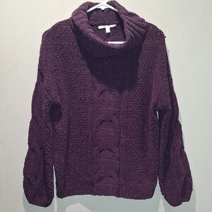 Ladies Knitted Turtleneck Sweater